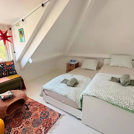 Privatunterkunft Asanzo Historic Attic-traditional Norwegian & Warm Indian Hospitality
