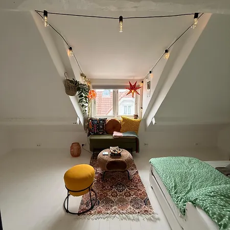 Privatunterkunft Asanzo Historic Attic-traditional Norwegian & Warm Indian Hospitality *