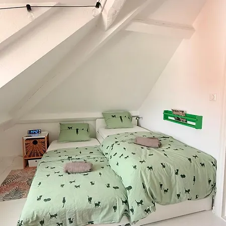 Asanzo Historic Attic-traditional Norwegian & Warm Indian Hospitality Privatunterkunft